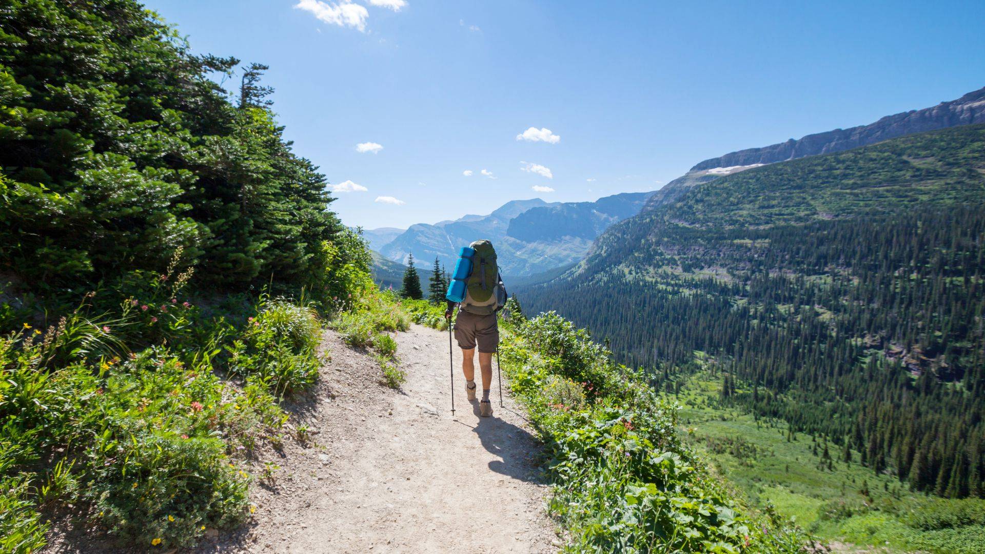 Hiking in the sunshine