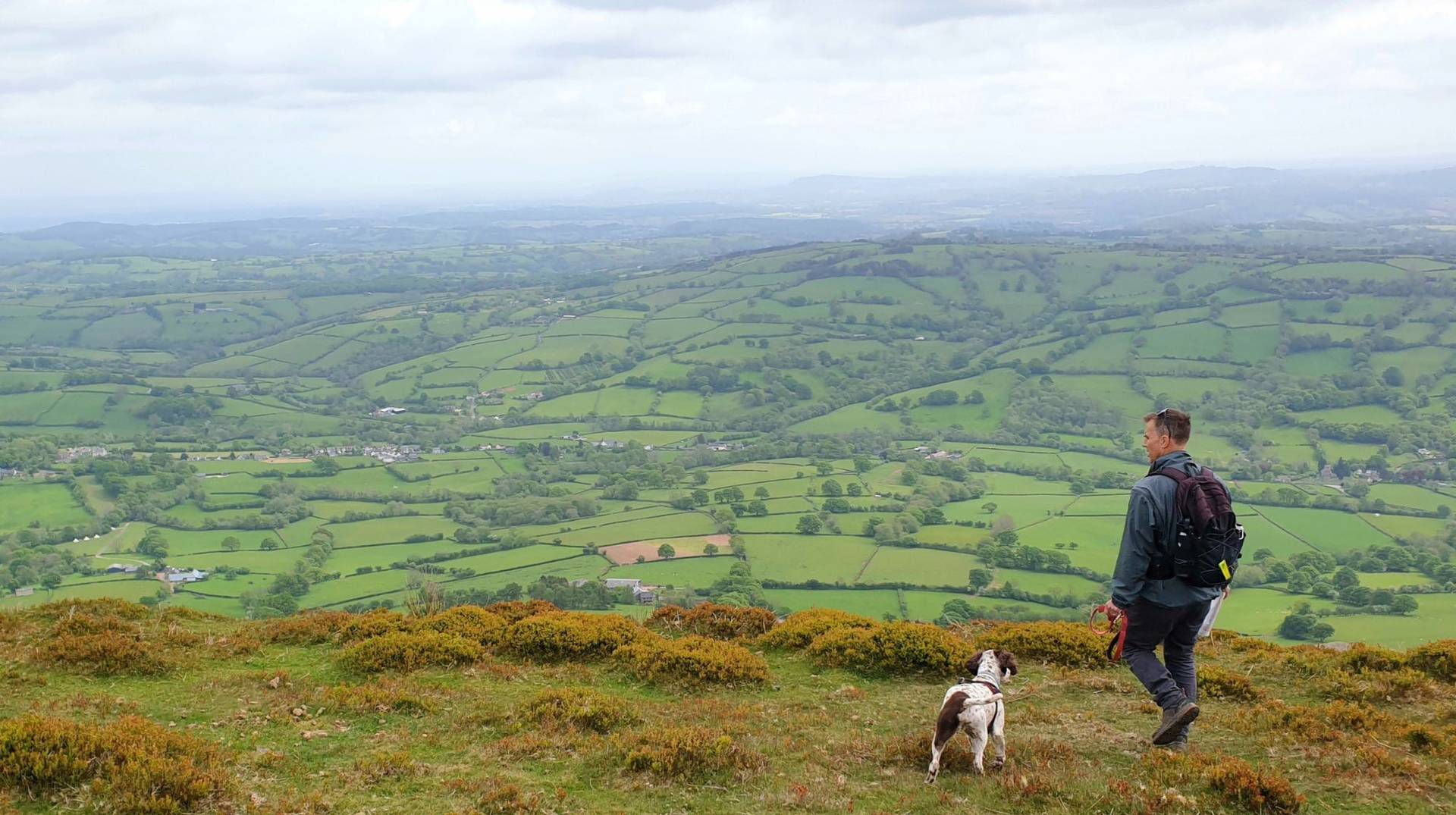 A man and his spaniel dog walking in Wales