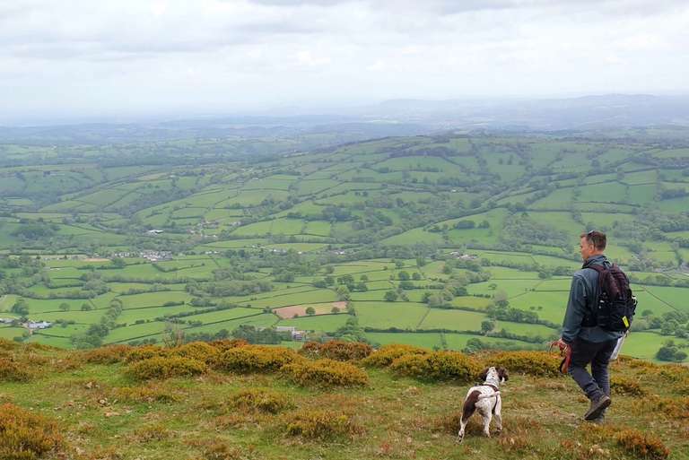 A person with a backpack and a dog on a grassy hill overlooking a vast green valley with rolling hills and patchwork fields