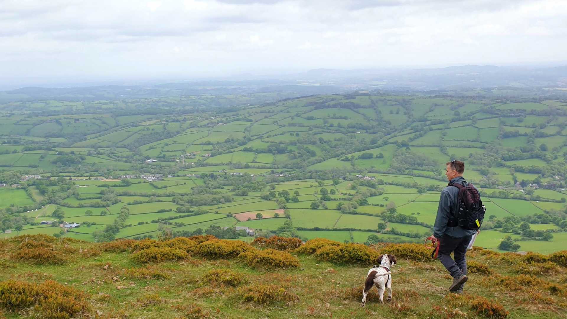 A person with a backpack and a dog on a grassy hill overlooking a vast green valley with rolling hills and patchwork fields