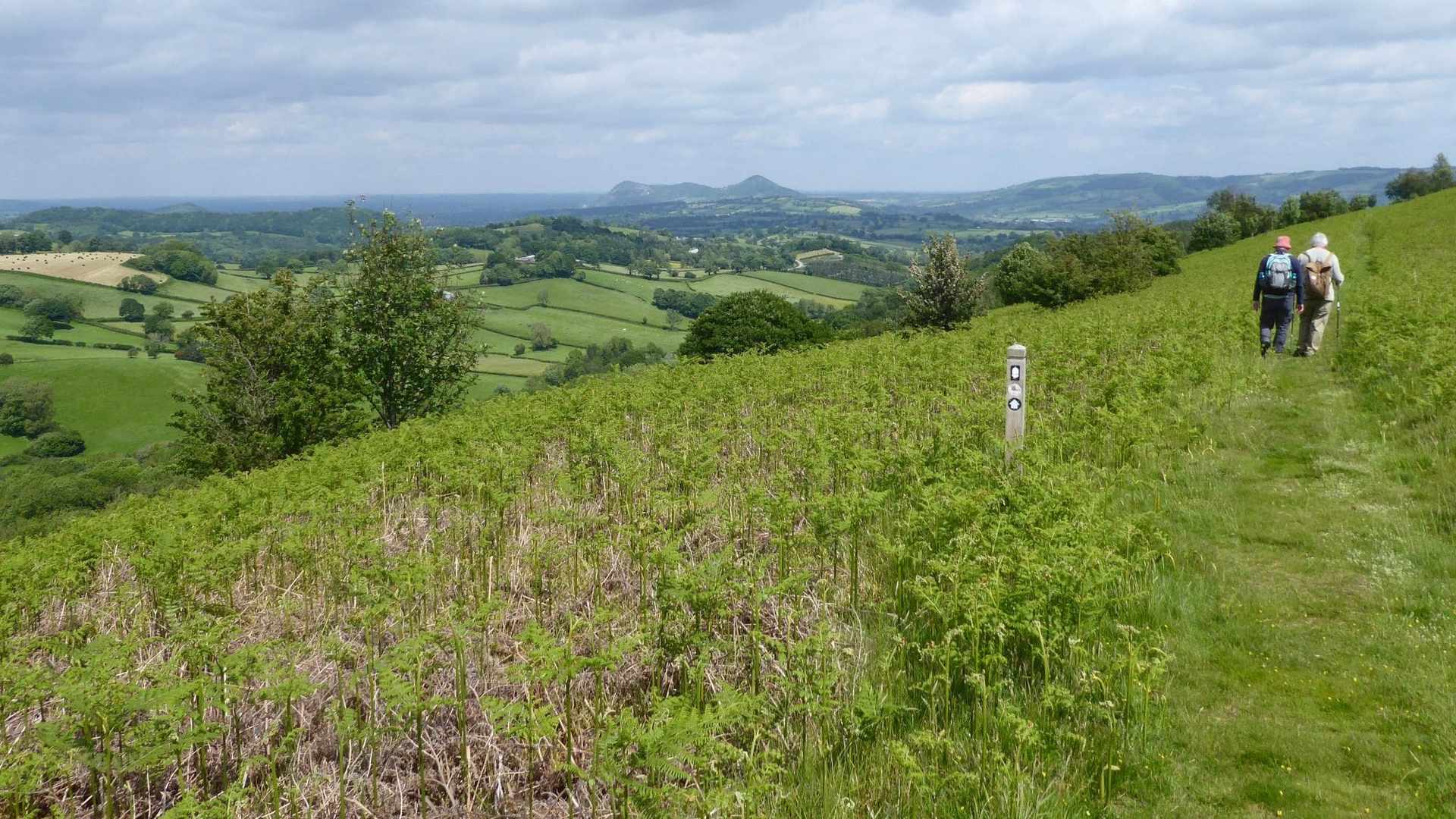 Celtic Trail Walkers on Glyndwr's Way Trail