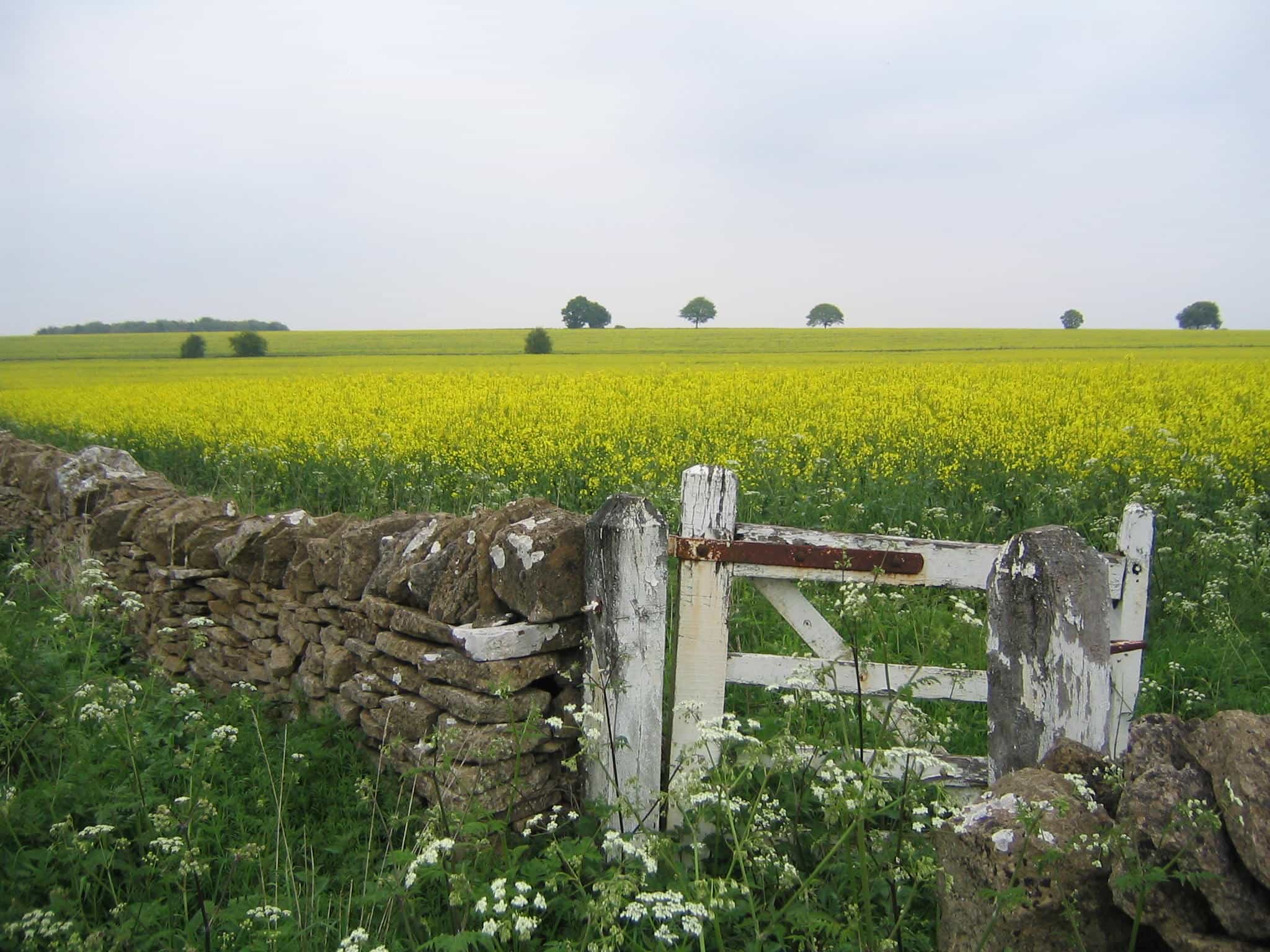 Walknig through Cotswolds countryside
