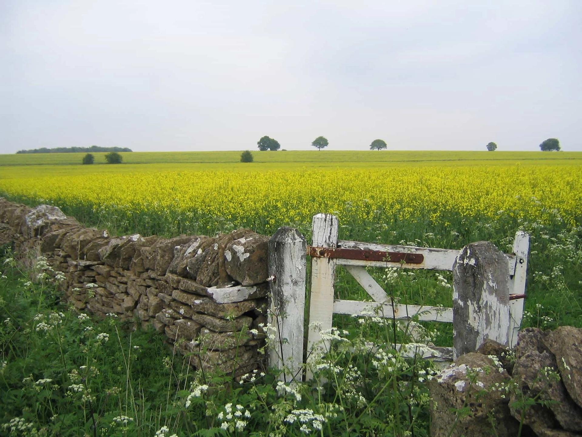 Walknig through Cotswolds countryside