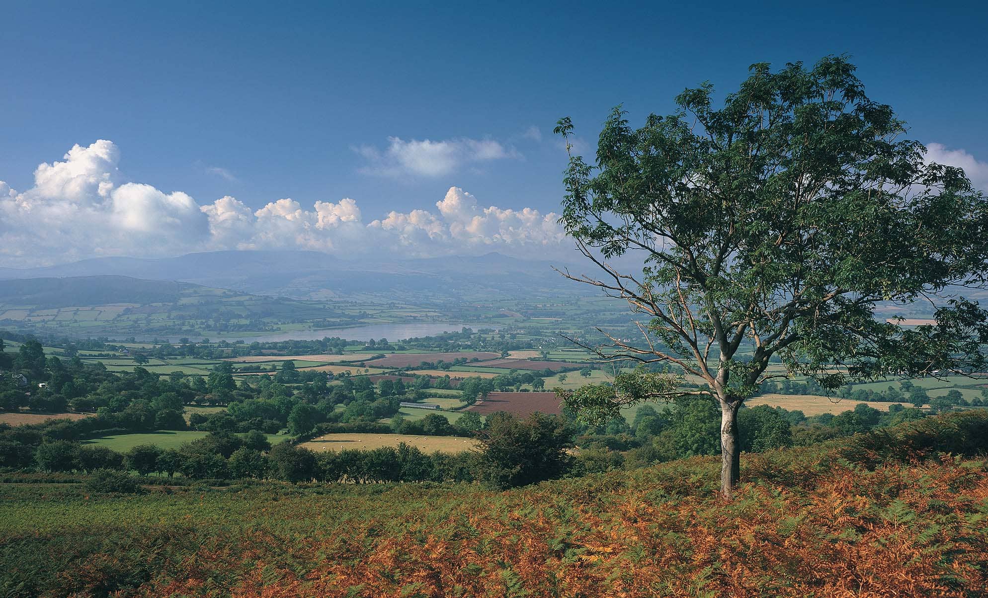 Llangorse-Lake-Beacons-Way