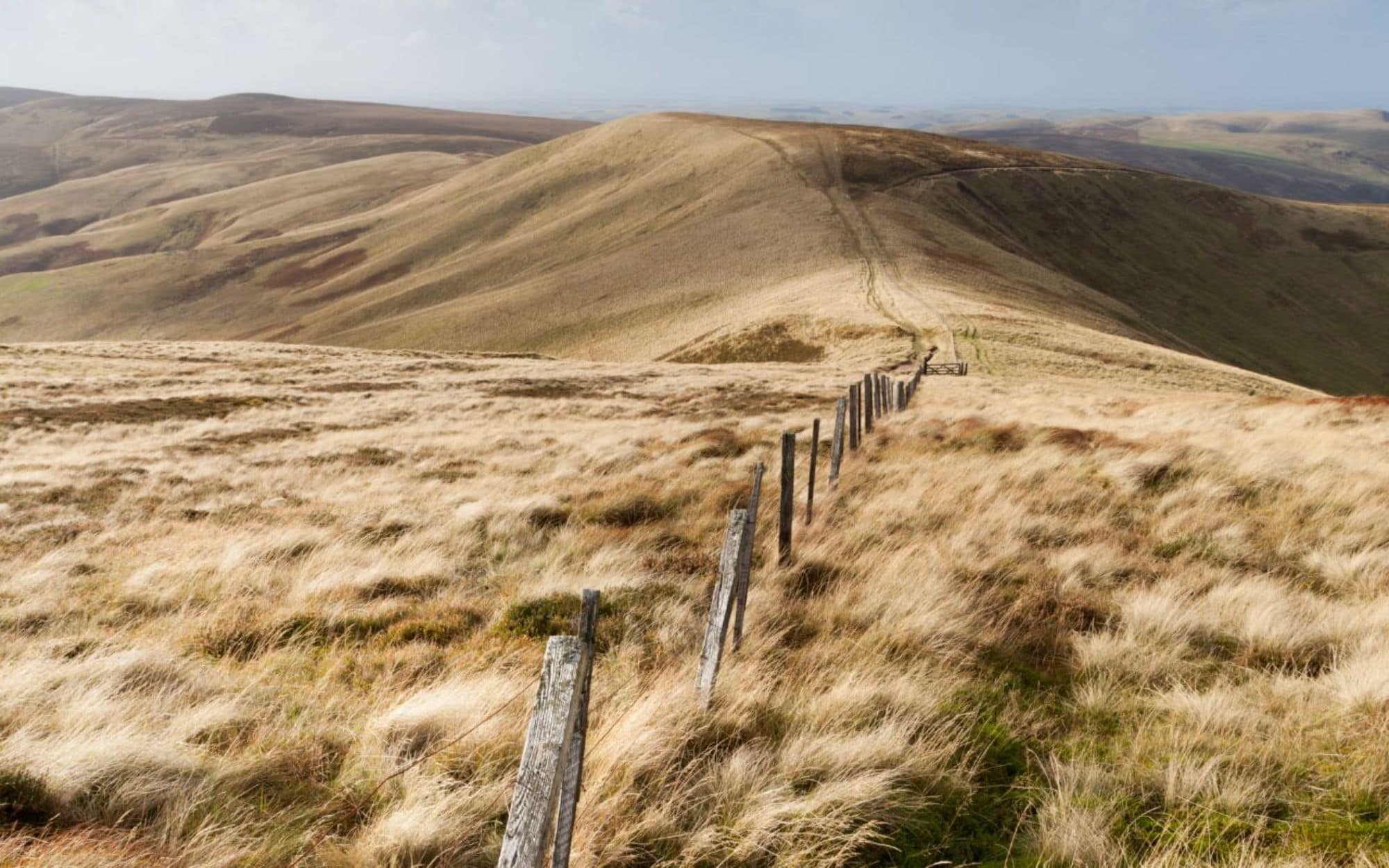 Pennine Way Windy Gyle
