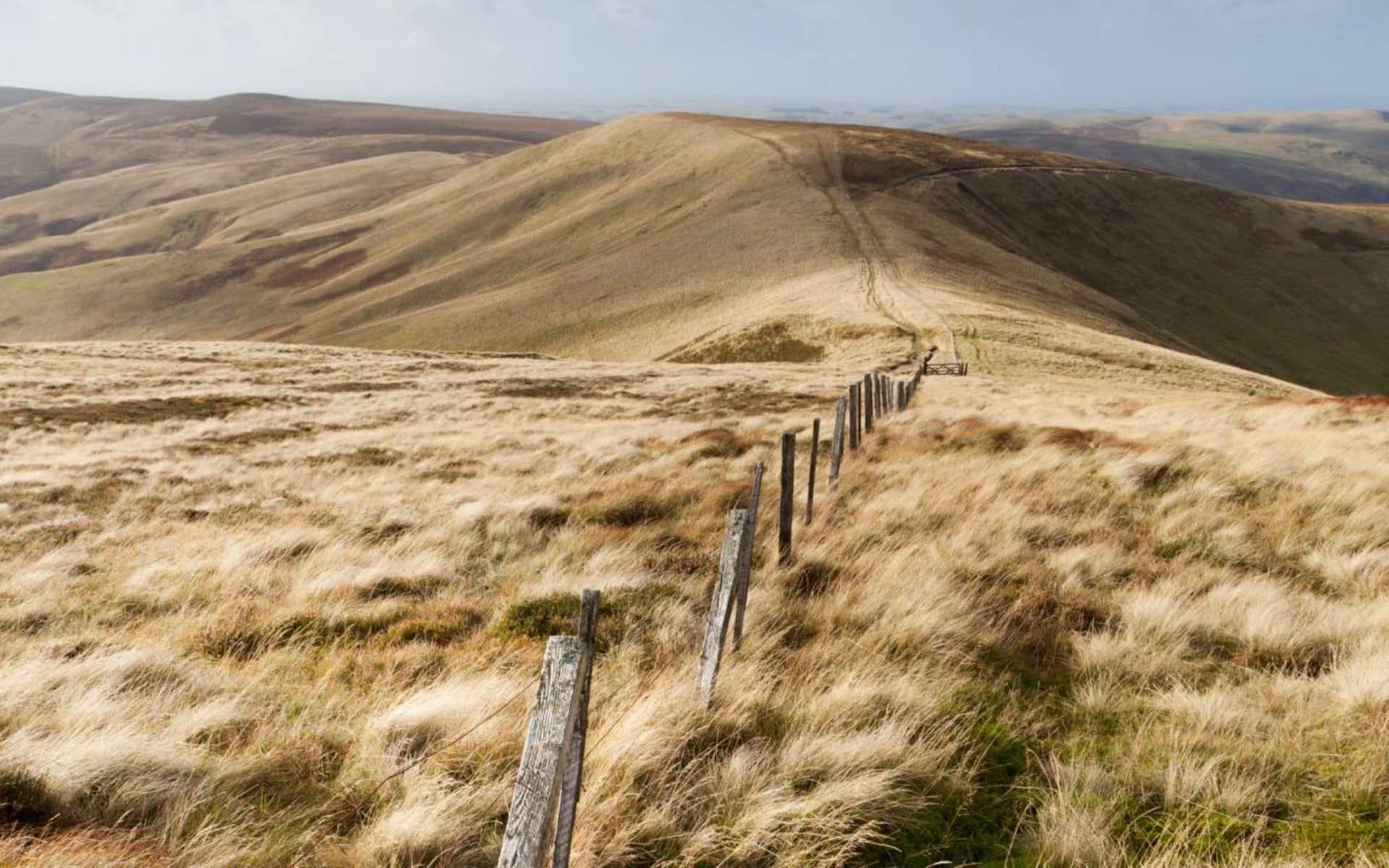 Pennine Way Windy Gyle