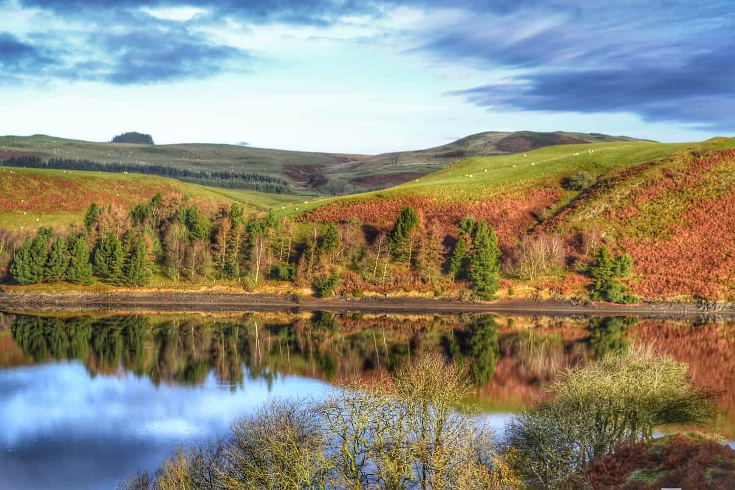 Llyn_Clywedog_near_Llanidloes,_Powys_Glyndwr's_Way