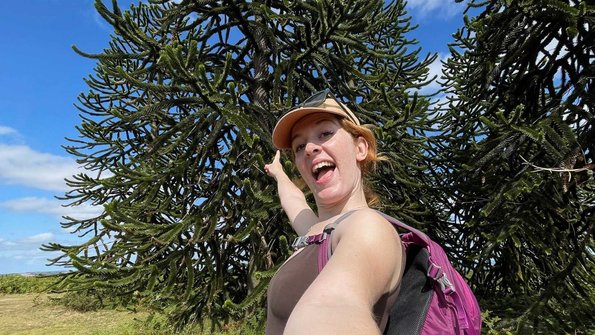 A person wearing a tan cap and sunglasses points at a large, spiky tree with green needles against a blue sky with white clouds.