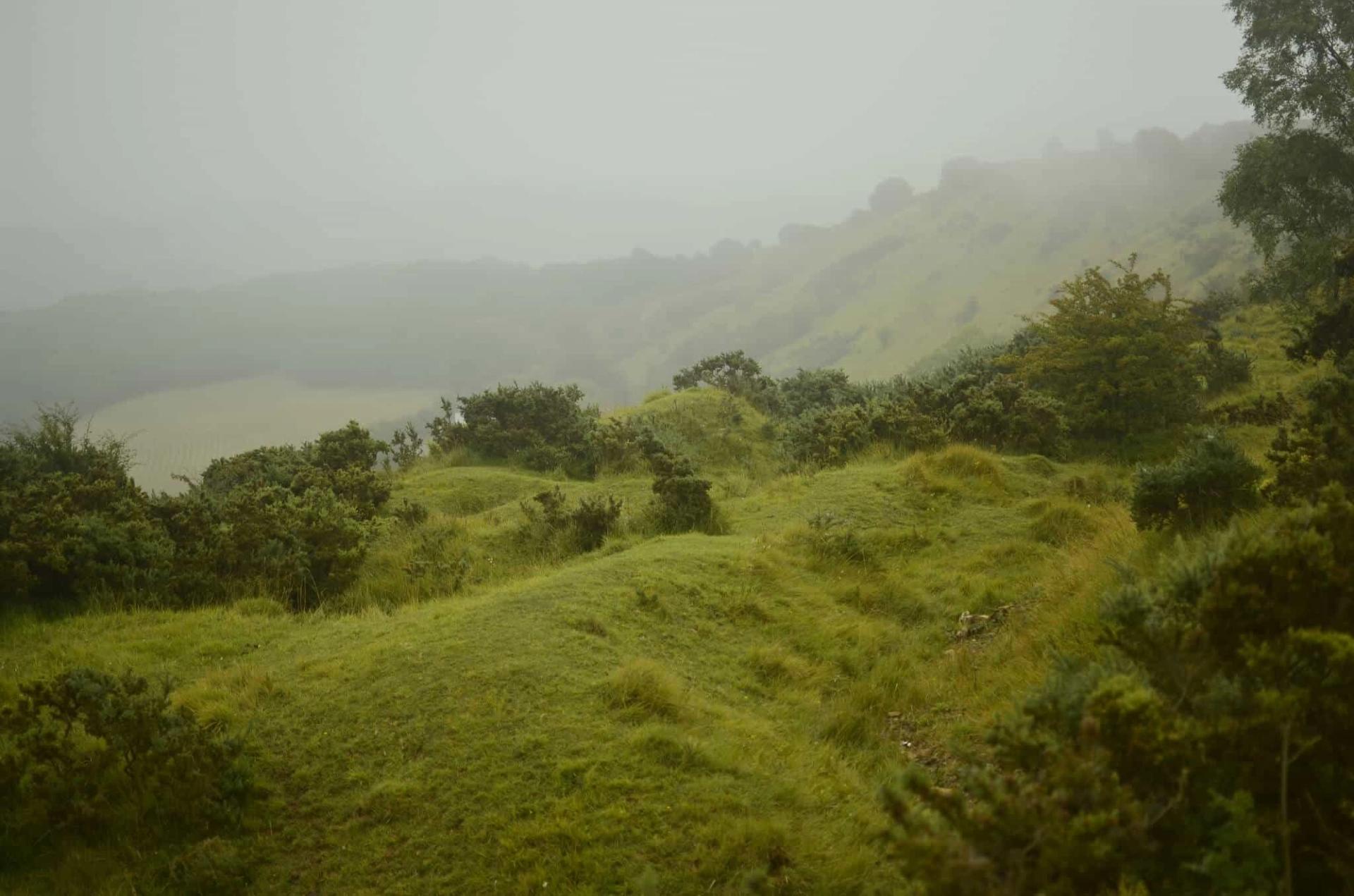 Morning Mist on the Cotswold way