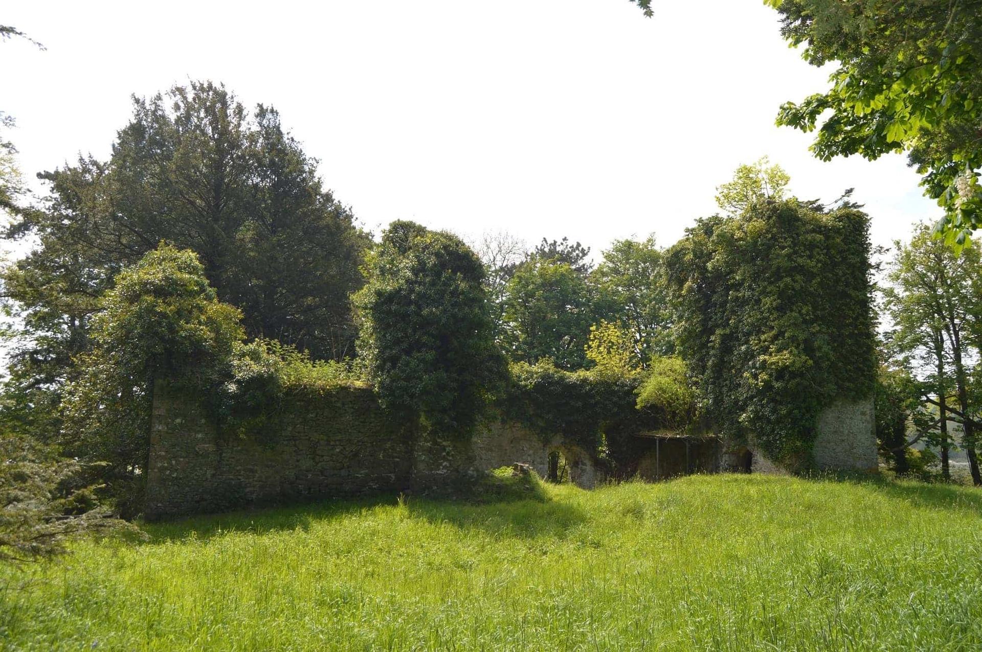 Ruins of St. Michaels Church