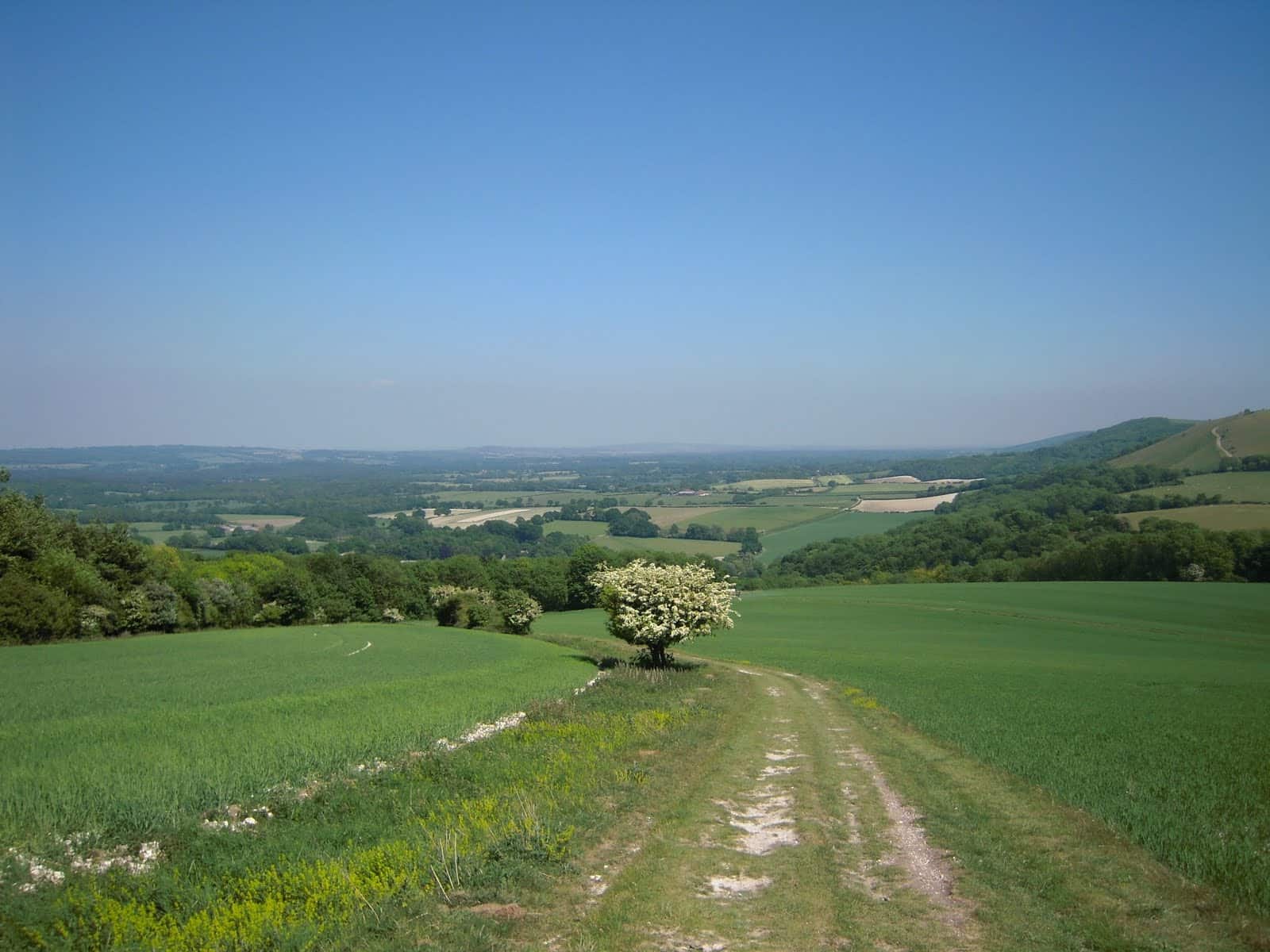 South Downs Way Walking holidays