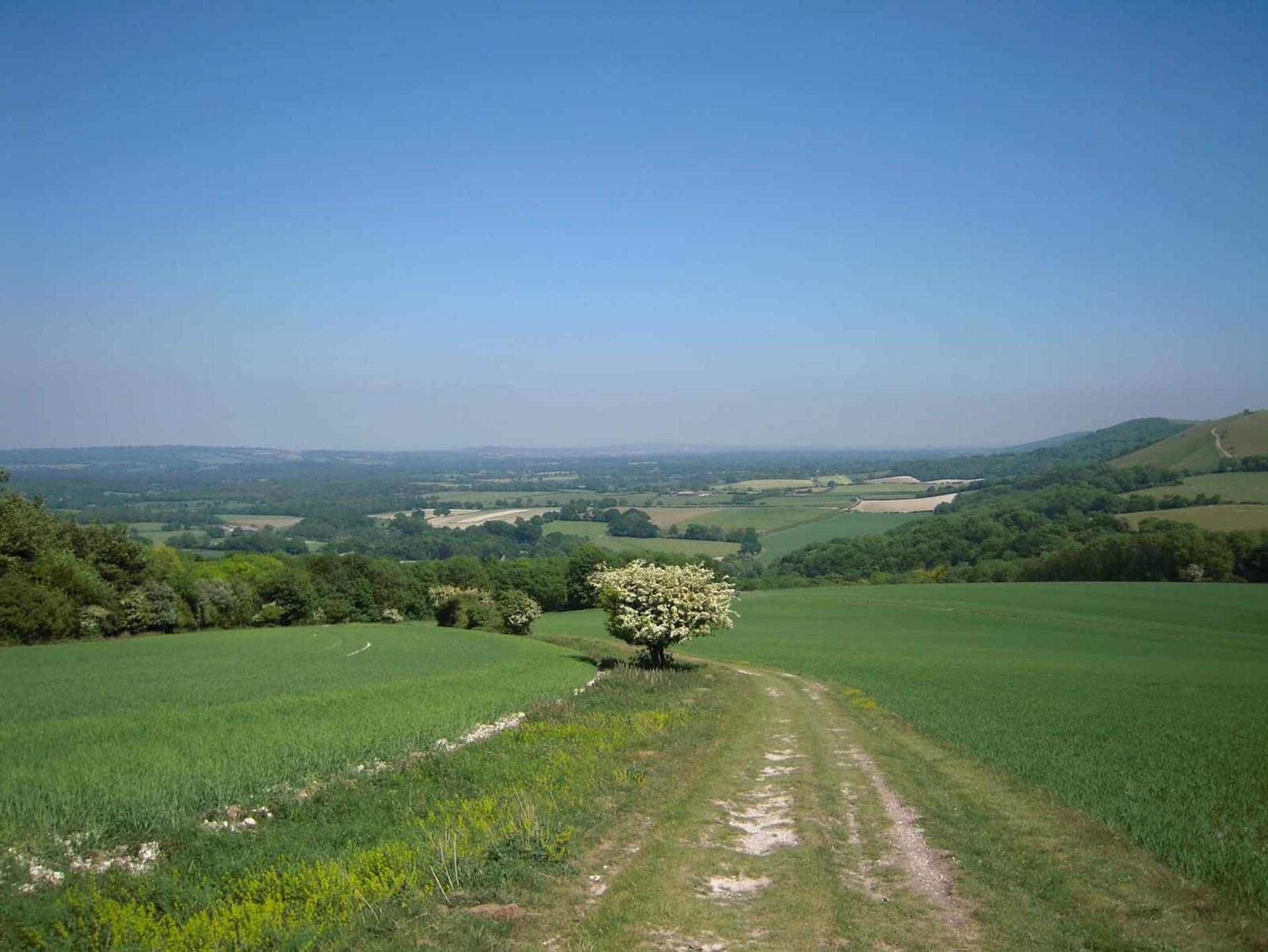 South Downs Way Walking holidays