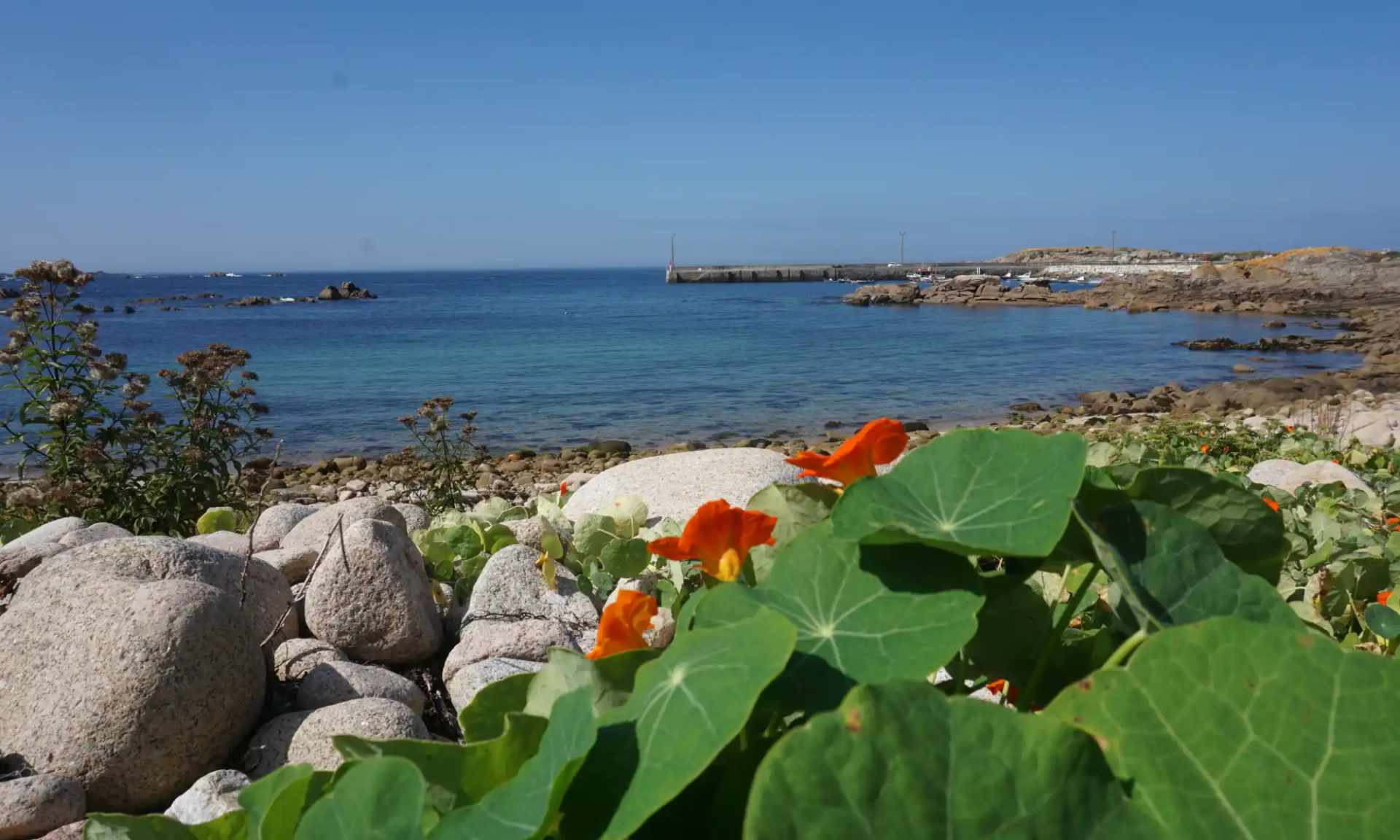 Hand-Picked Accommodation: Comfort Along the Way