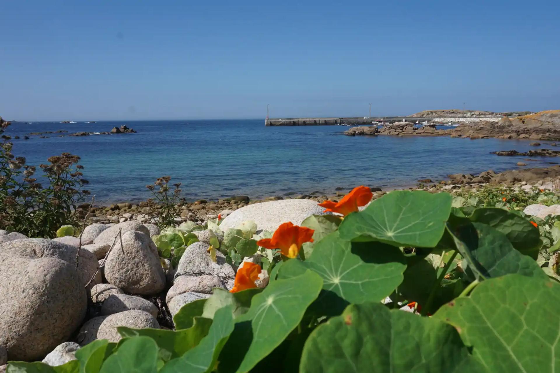 Hand-Picked Accommodation: Comfort Along the Way