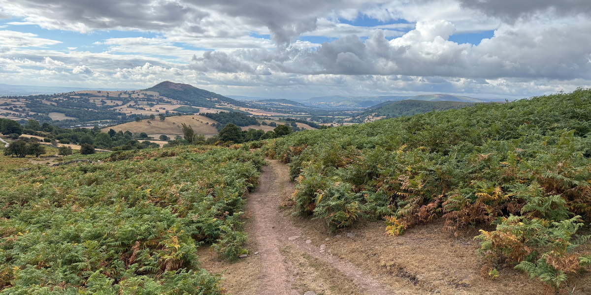 Offa’s Dyke Path crossing bracken-covered hills with views across the border countryside.