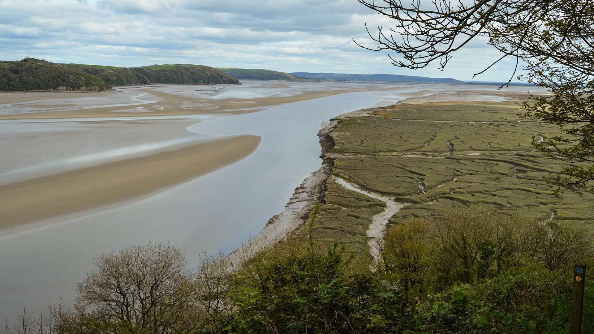 DylanThomas Birthday Walk Taf Estuary