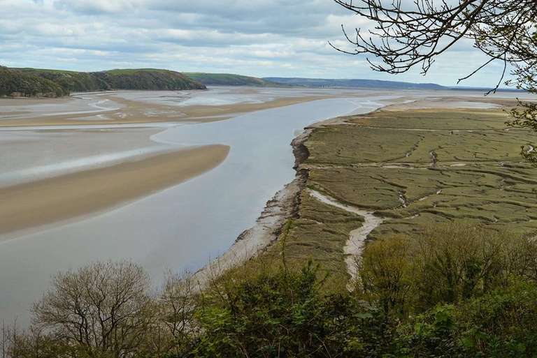 DylanThomas Birthday Walk Taf Estuary