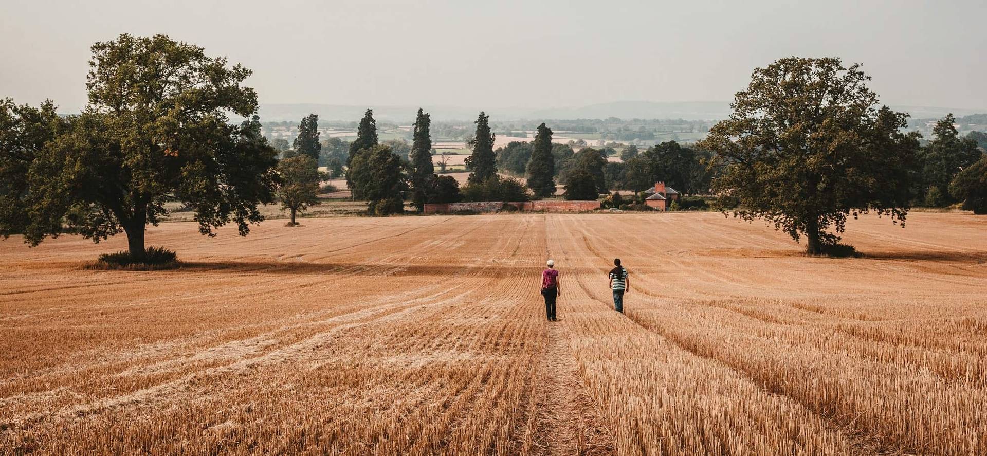Two Walkers Walking Across Field
