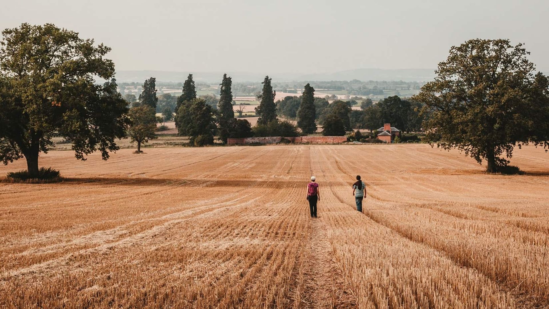 Two Walkers Walking Across Field