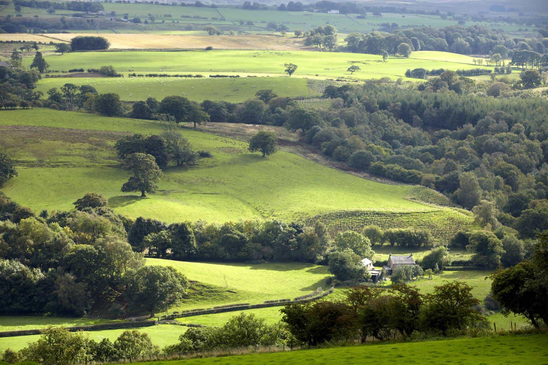 Rolling Northumberland countryside along the Hadrian’s Wall Path route