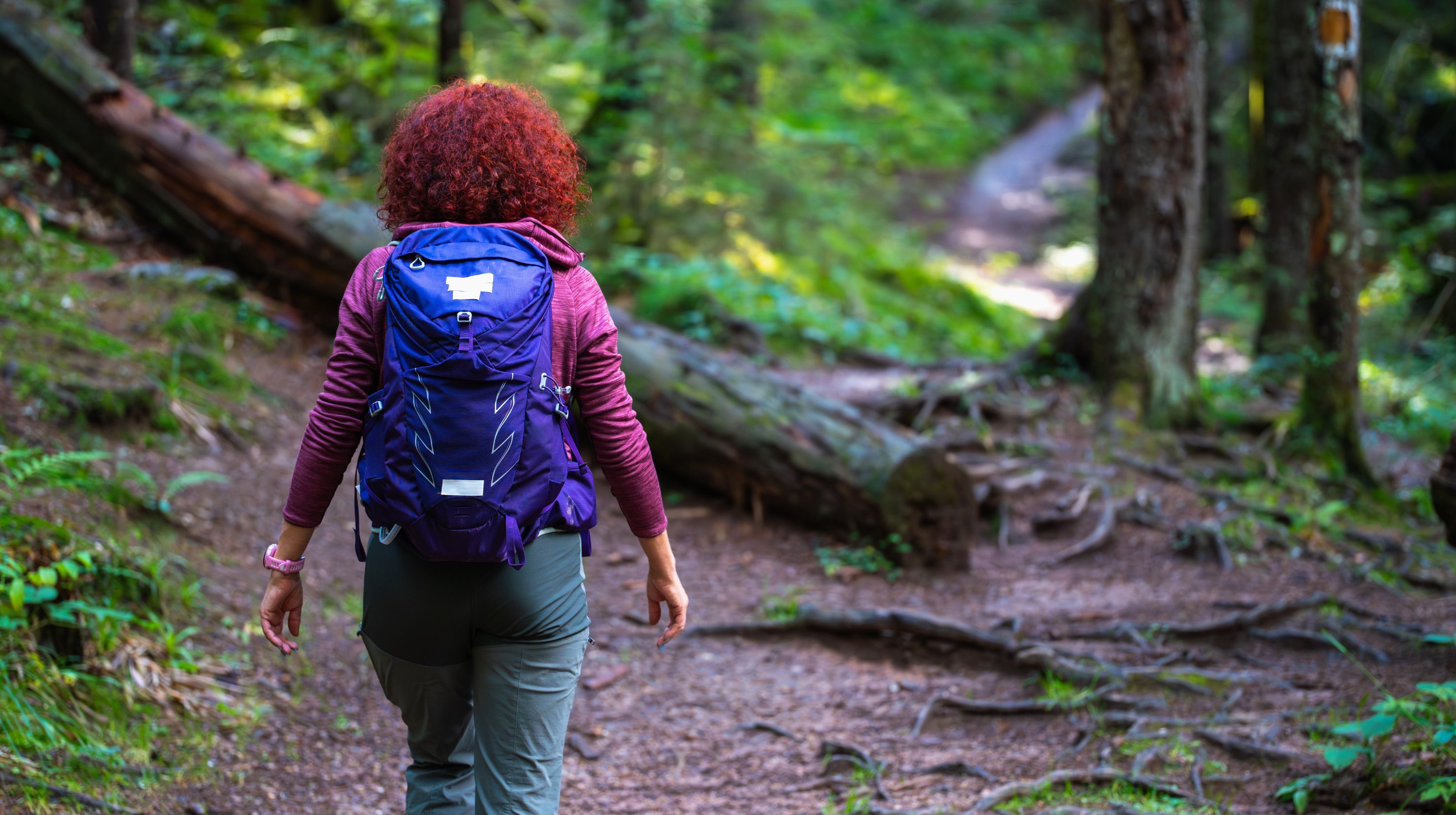 A person with curly red hair walks on a forest trail, wearing a purple backpack and green pants. Sunlight filters through the trees, illuminating a fallen log on the left side of the path.