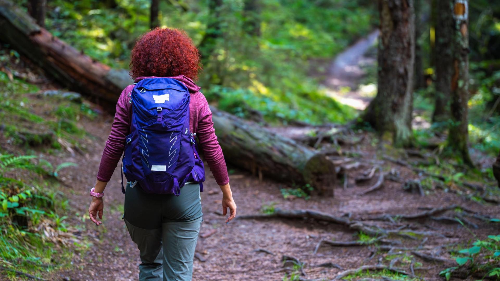 A person with curly red hair walks on a forest trail, wearing a purple backpack and green pants. Sunlight filters through the trees, illuminating a fallen log on the left side of the path.