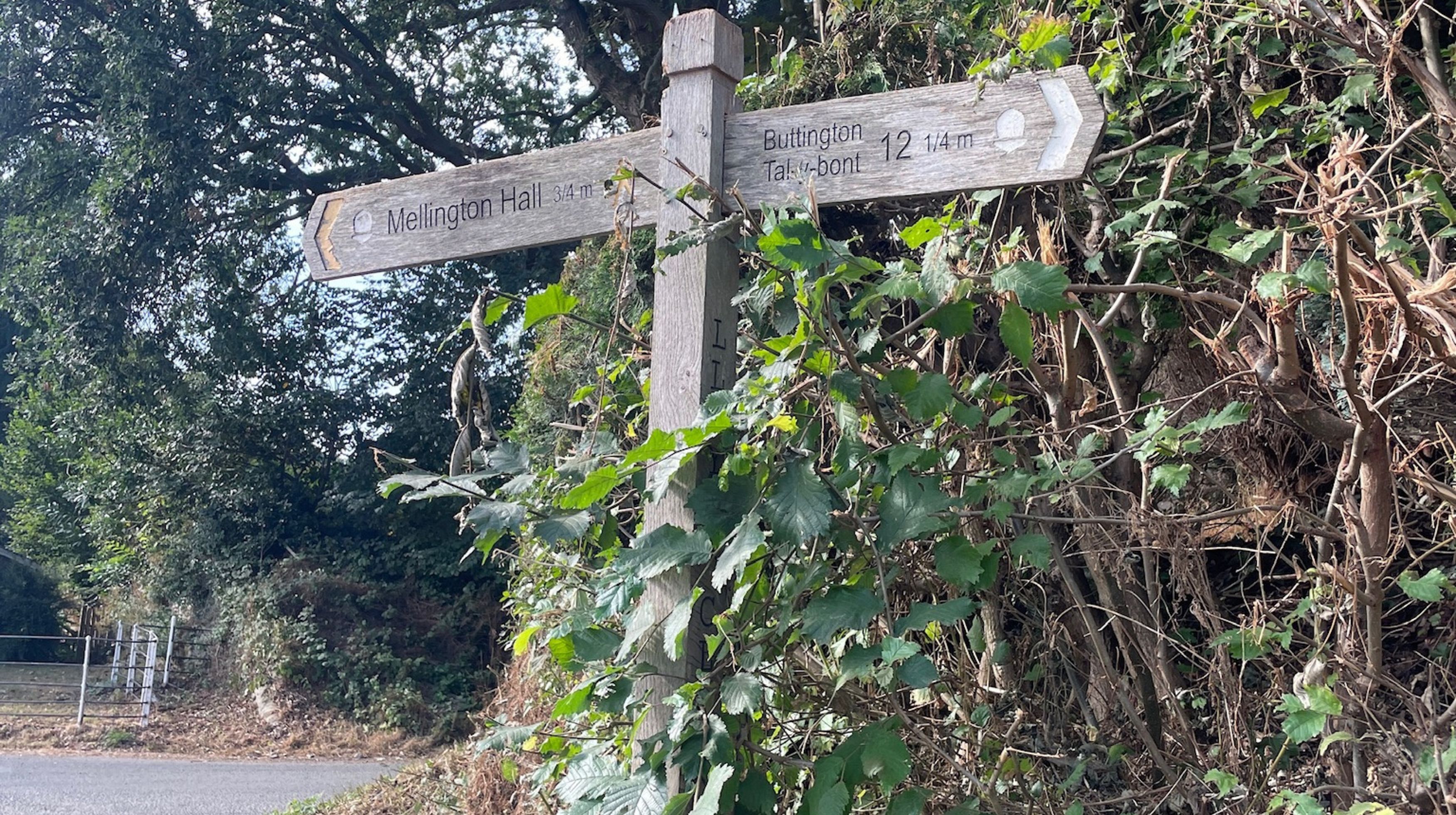 A wooden fingerpost sign with two directional arms. The left arm reads "Mellington Hall 3/4m" and the right arm reads "Buttington 1/4m".