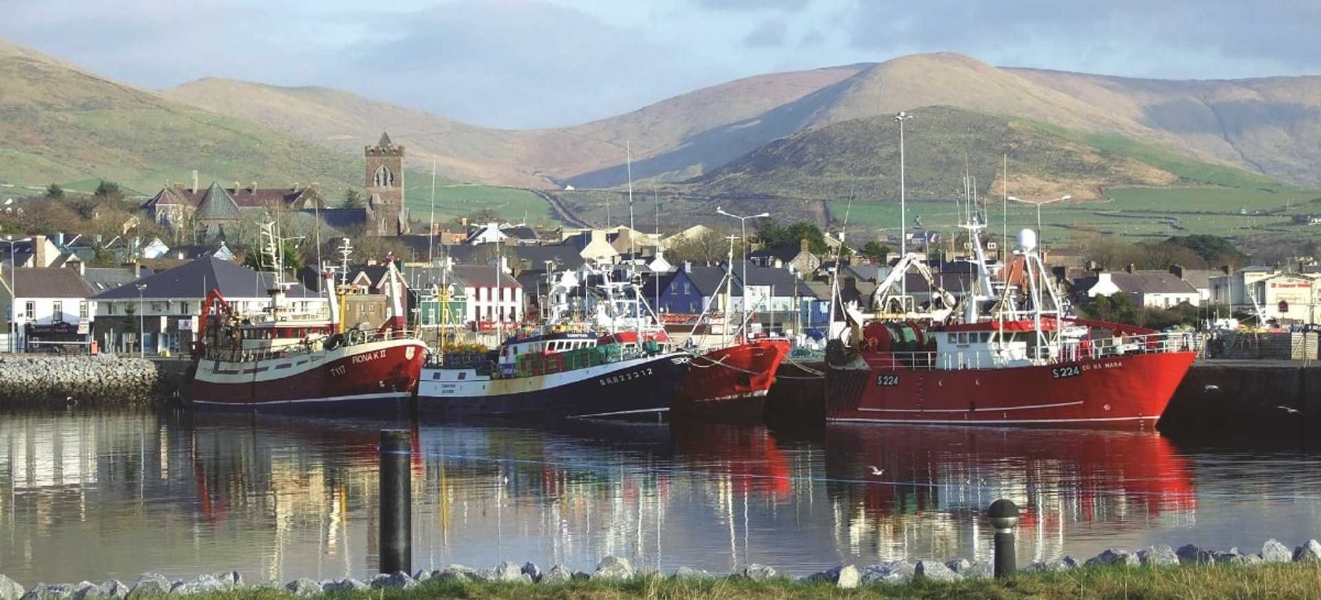 Dingle-Marina