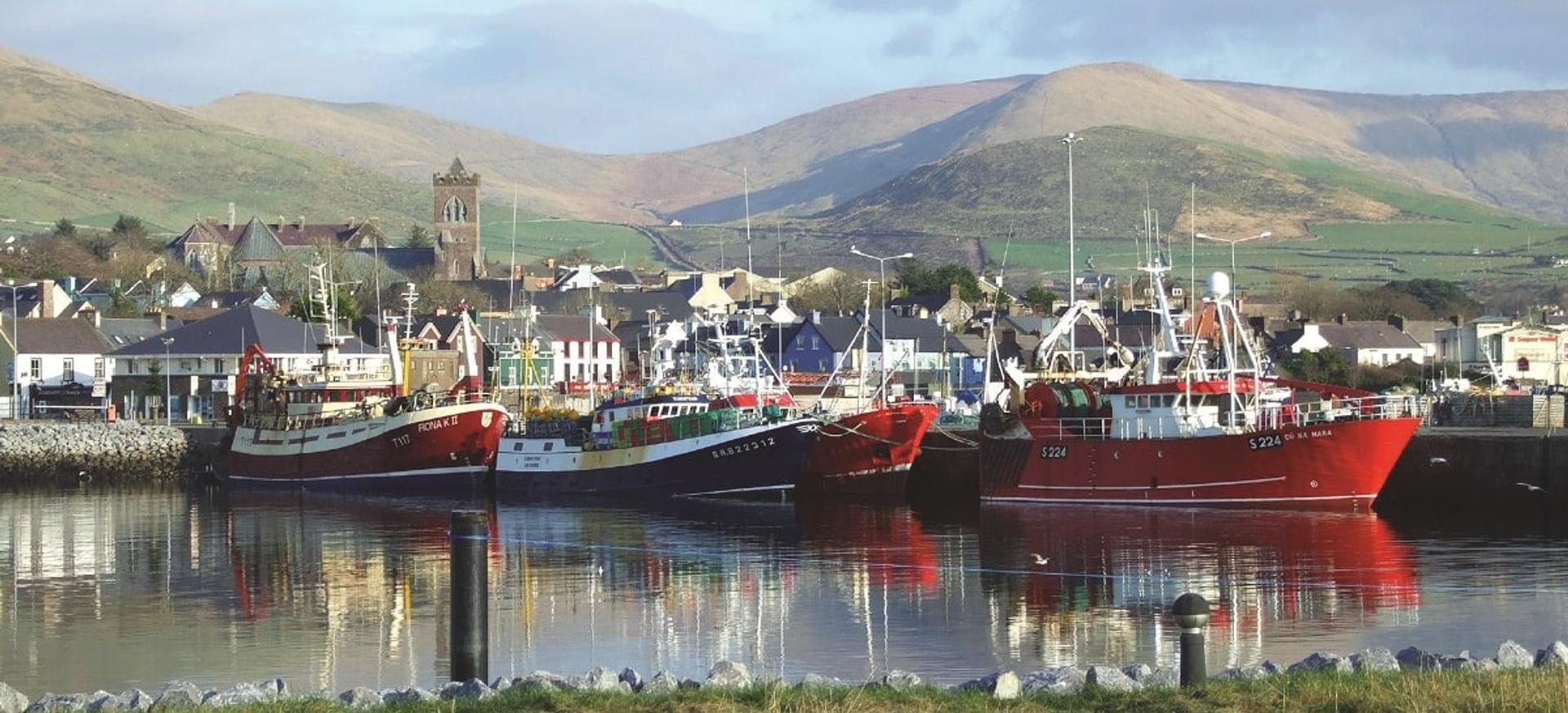 Dingle-Marina
