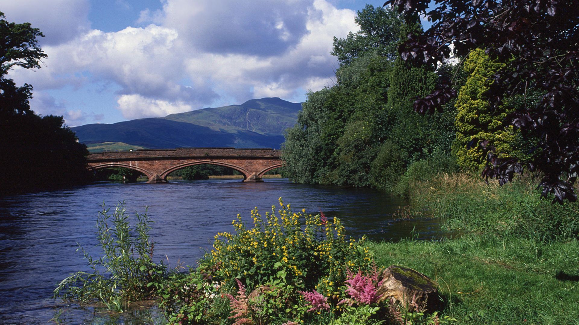 Stone bridge over a river, with wooded banks, wildflowers and Highland hills beyond.