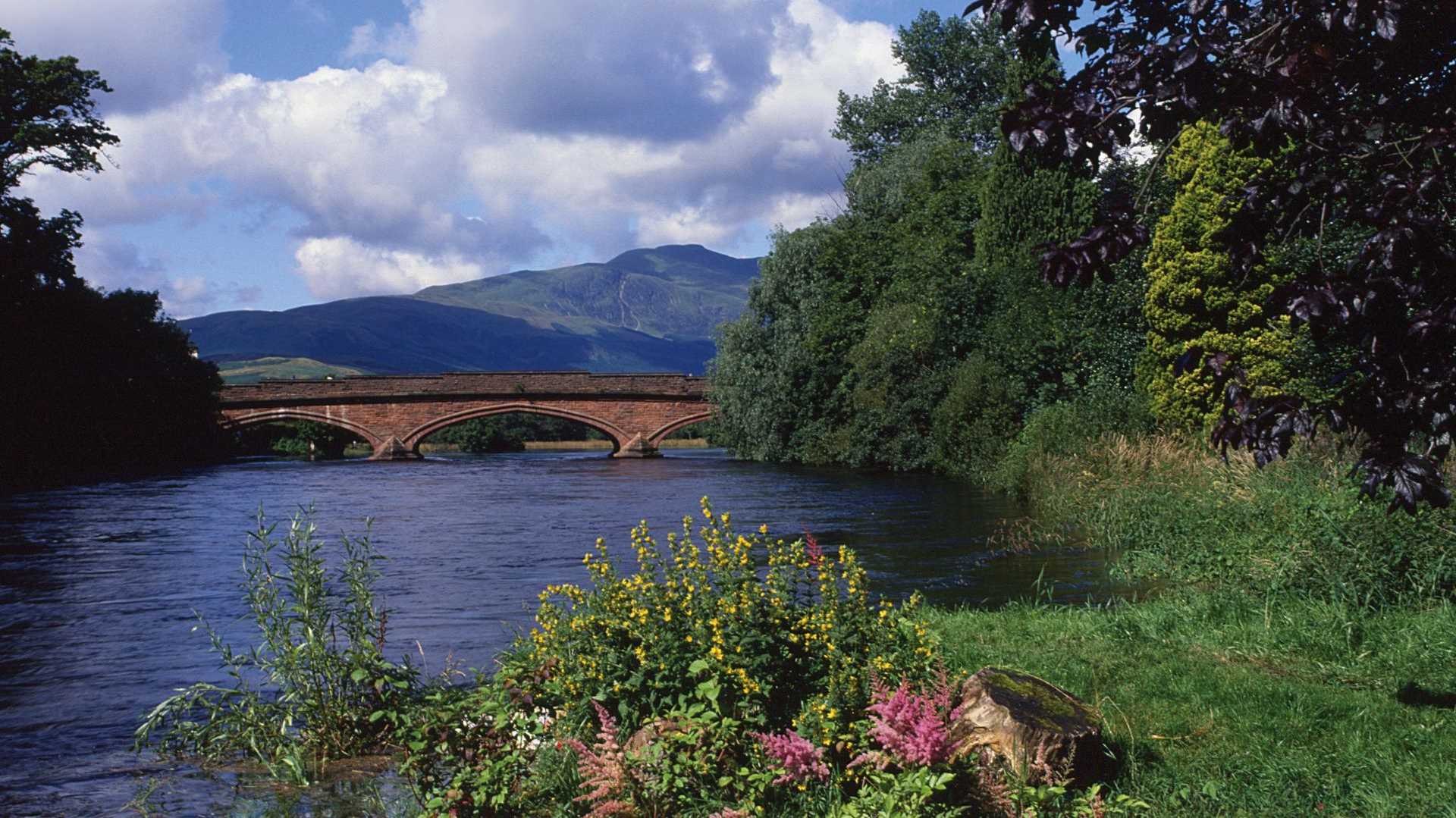 Stone bridge over a river, with wooded banks, wildflowers and Highland hills beyond.