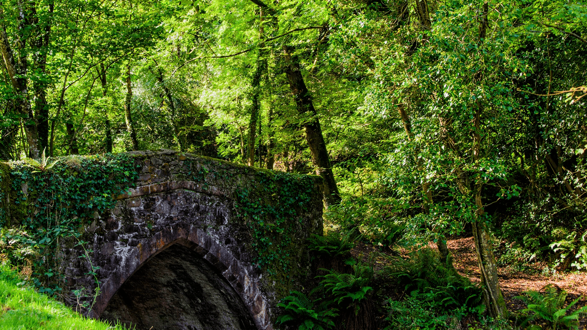 Image of Bridge near woods Nether Stowey