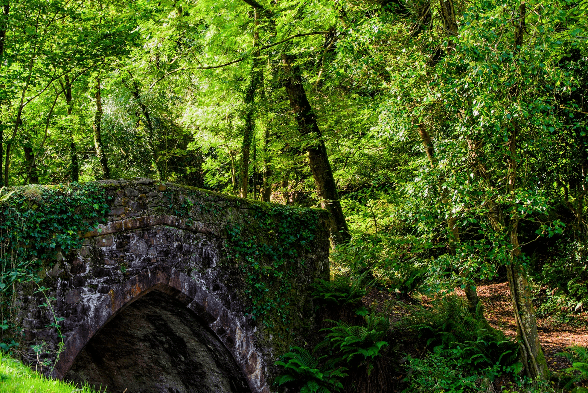 Image of Bridge near woods Nether Stowey
