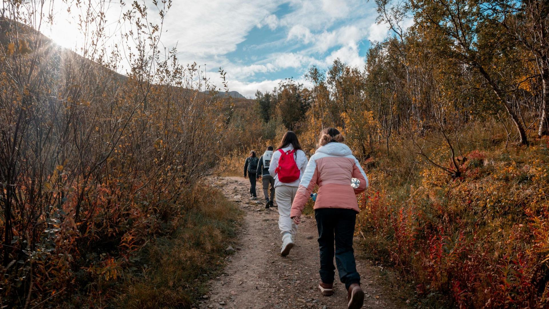 A group of hikers walk along a dirt path through a forest with autumn foliage. The sun shines through the trees on the left side of the image.