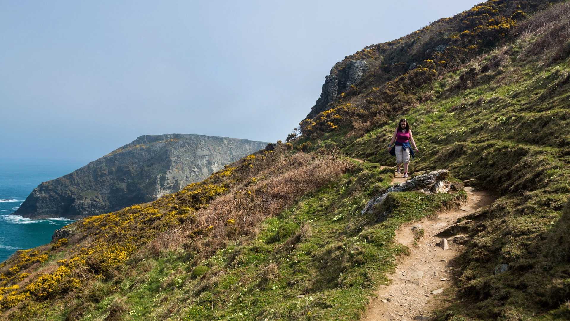 A person walks on a winding dirt path along a grassy, rocky cliff overlooking the ocean. Yellow flowers dot the landscape.