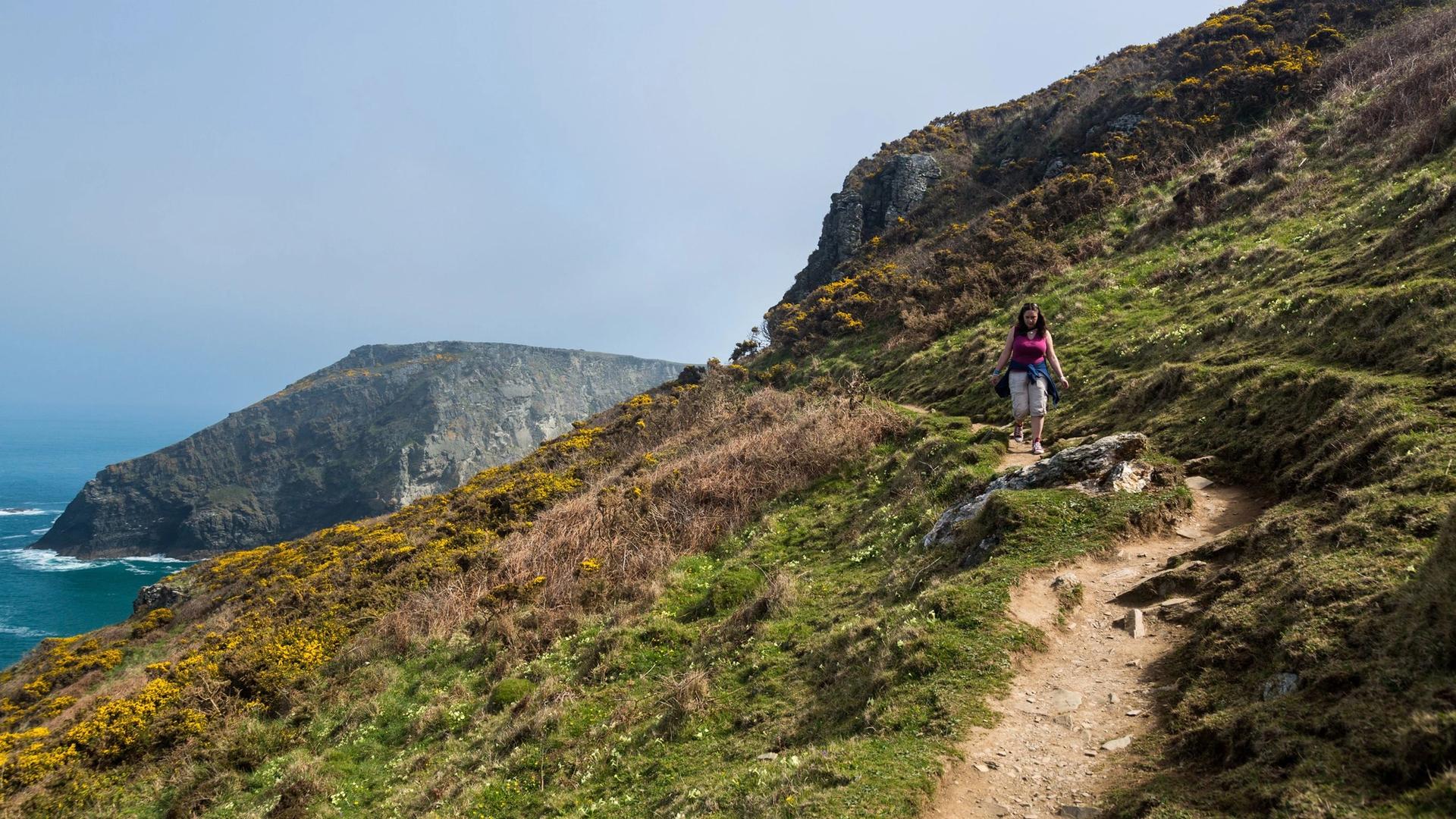 A person walks on a winding dirt path along a grassy, rocky cliff overlooking the ocean. Yellow flowers dot the landscape.