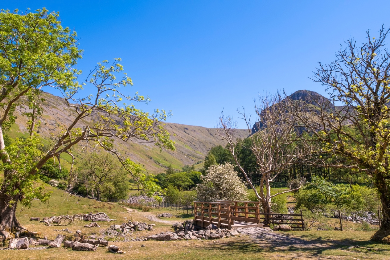 Footbridge and path beneath the fells in Borrowdale.