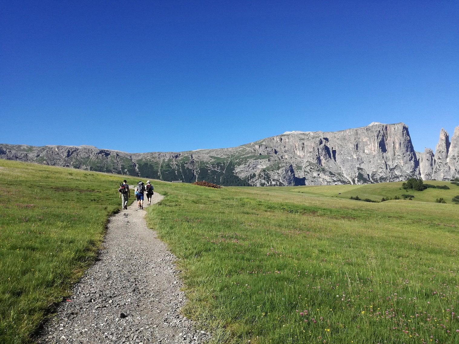 Dolomites - The Chestnut Route