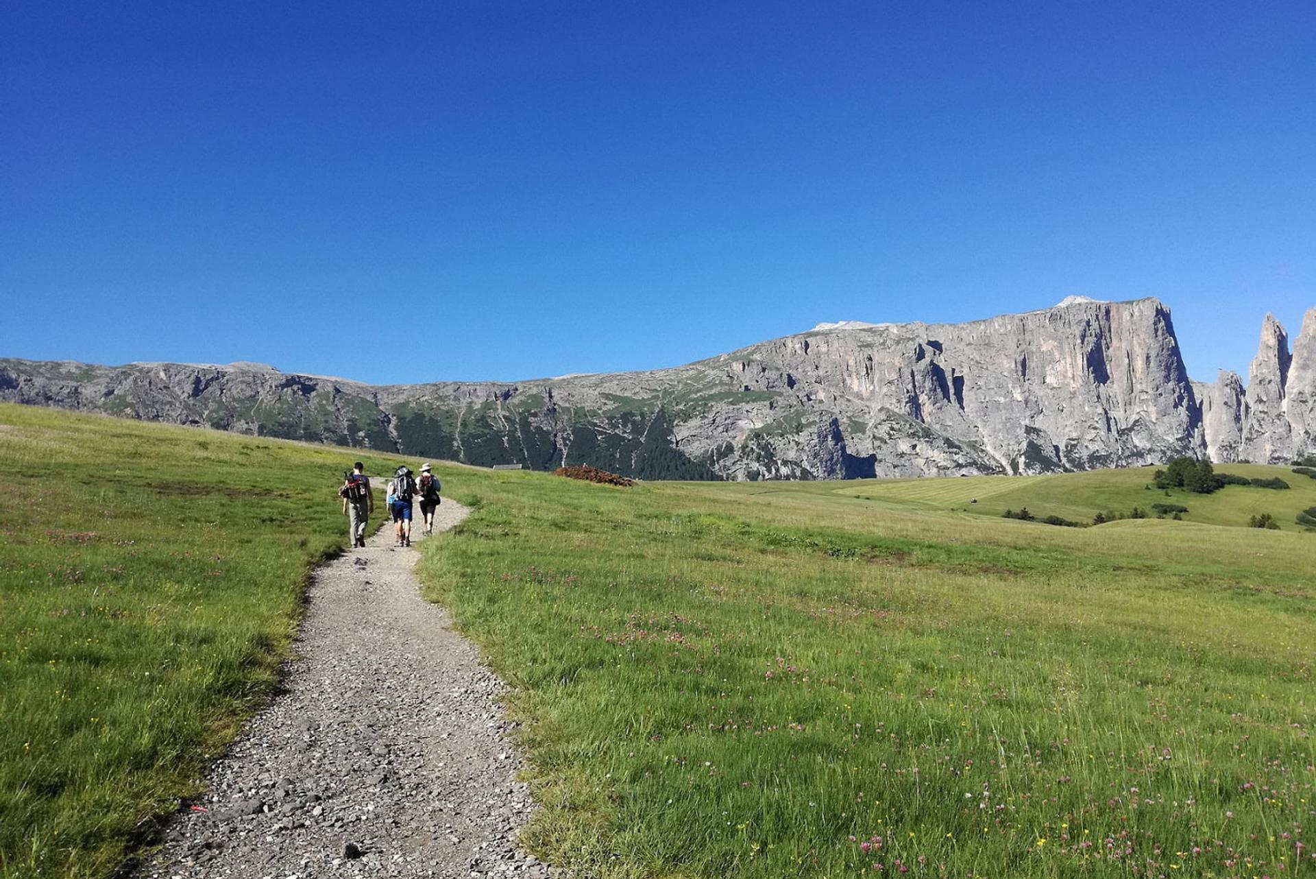 Dolomites - The Chestnut Route