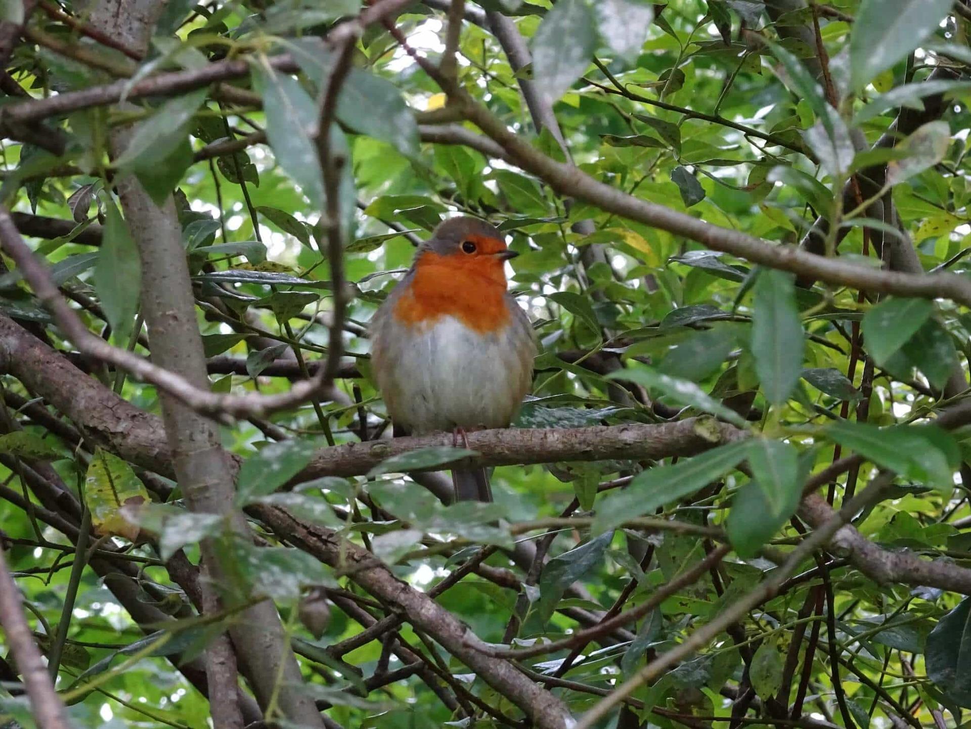 Walking Holidays Yorkshire