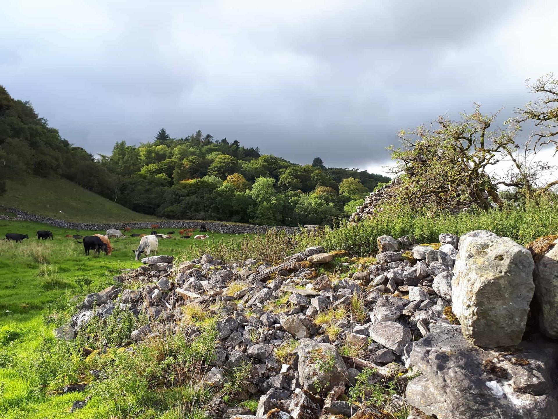 Walking holidays in yorkshire
