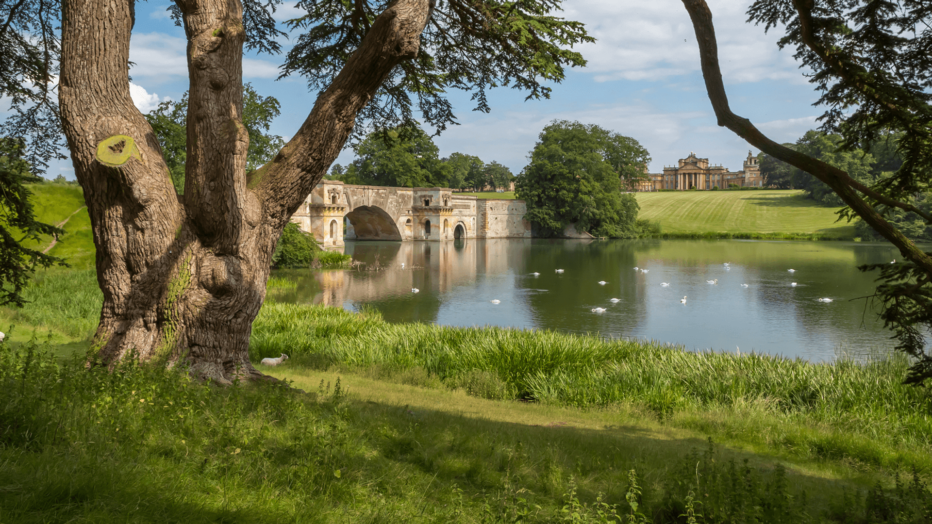 Thames Path Walking Holidays - Hampton Court