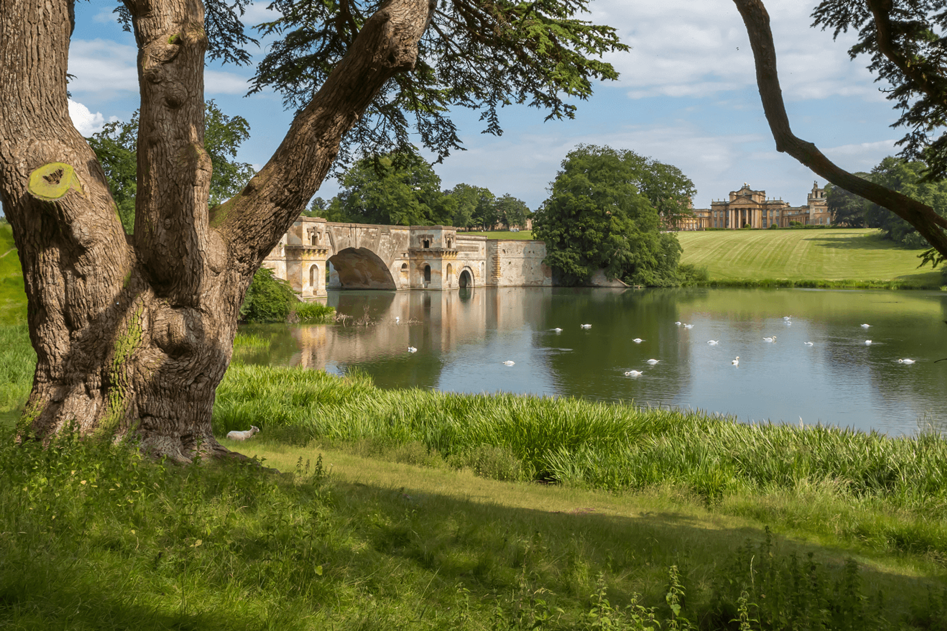 Thames Path Walking Holidays - Hampton Court