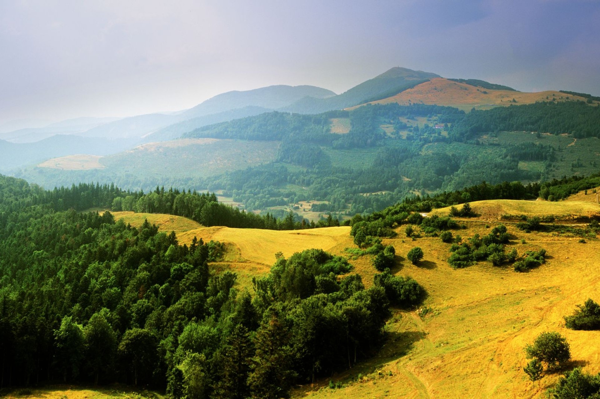 Rolling ridges and forested slopes of the Vosges Mountains