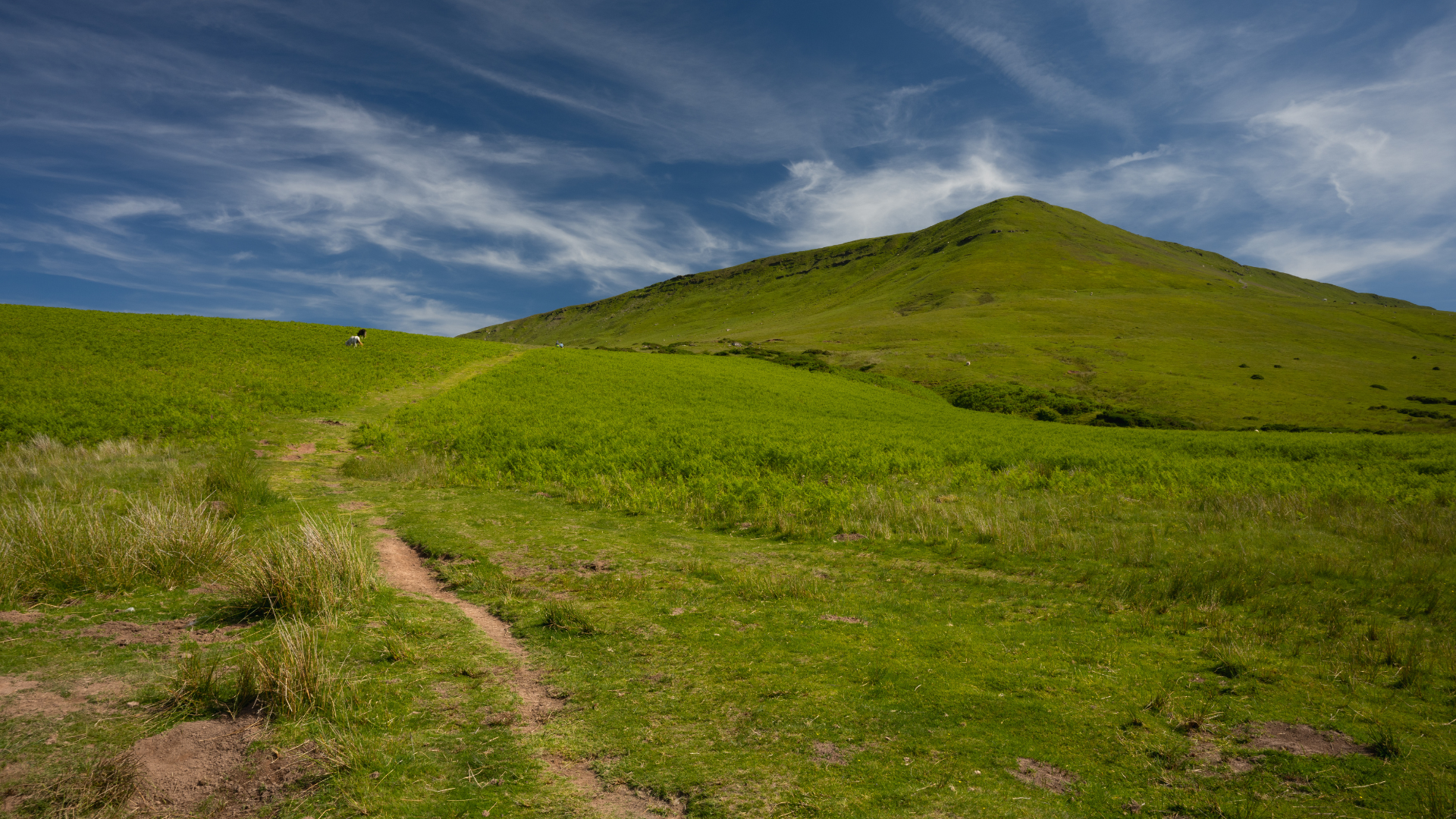 Spring views up to the Black Mountains along offa's Dyke Path