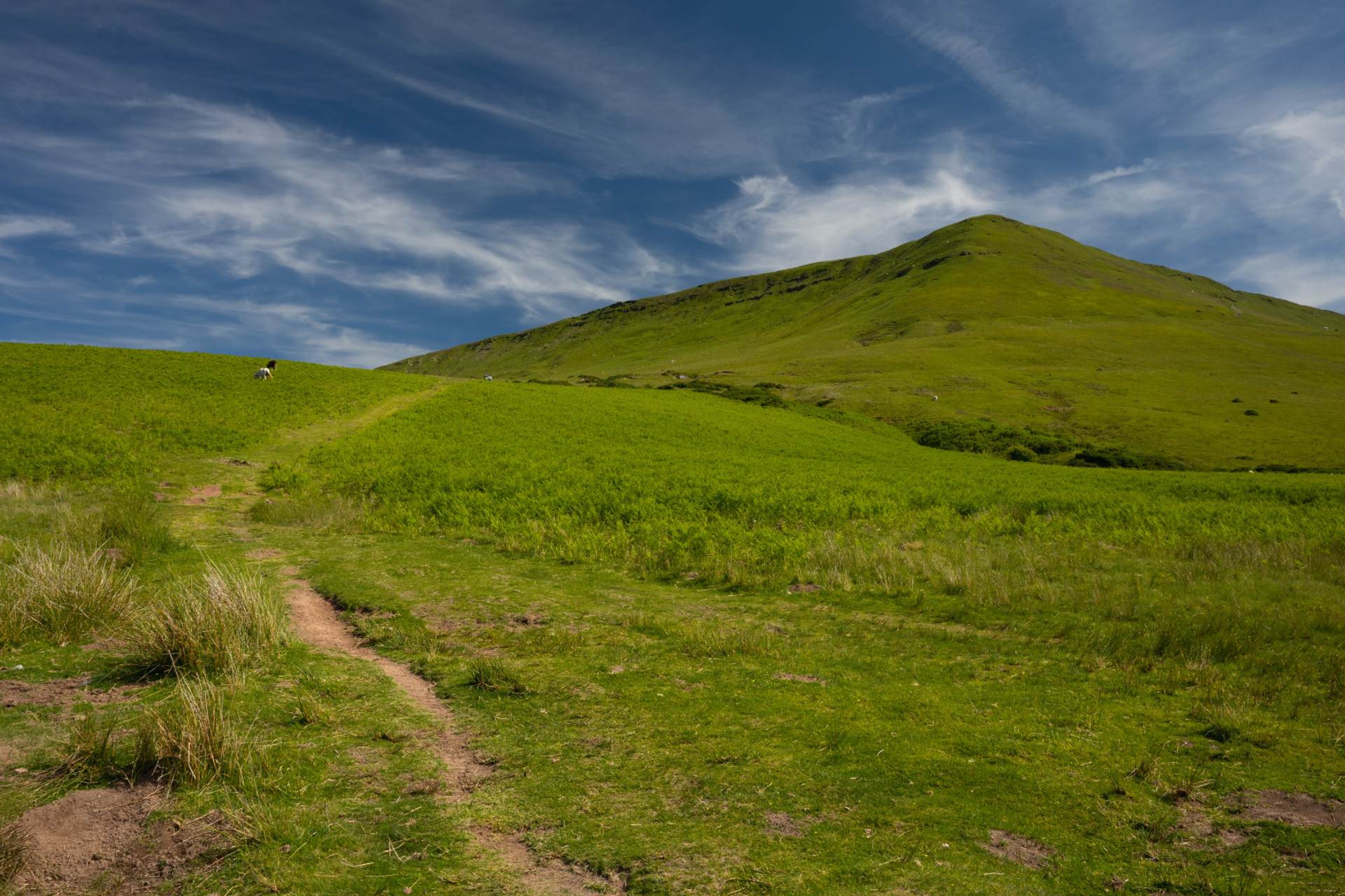 Spring views up to the Black Mountains along offa's Dyke Path
