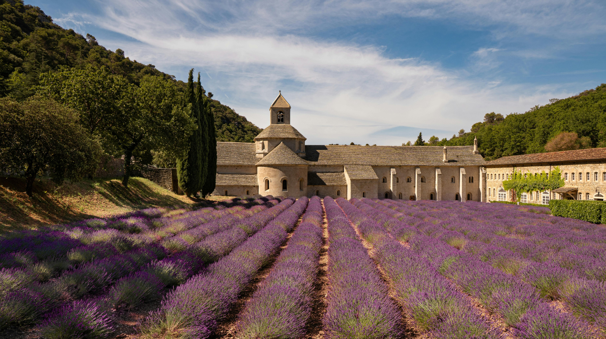 Lavender fields in front of Sénanque Abbey near Gordes