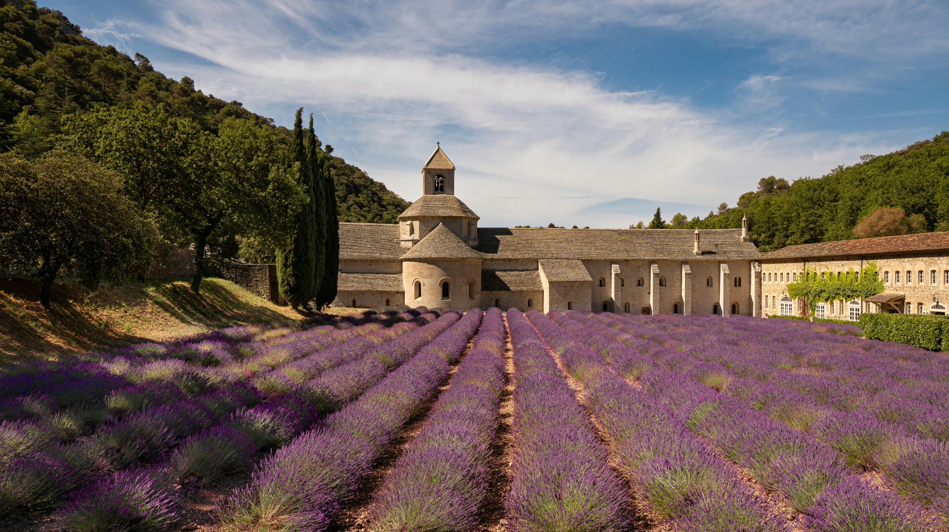Lavender fields in front of Sénanque Abbey near Gordes