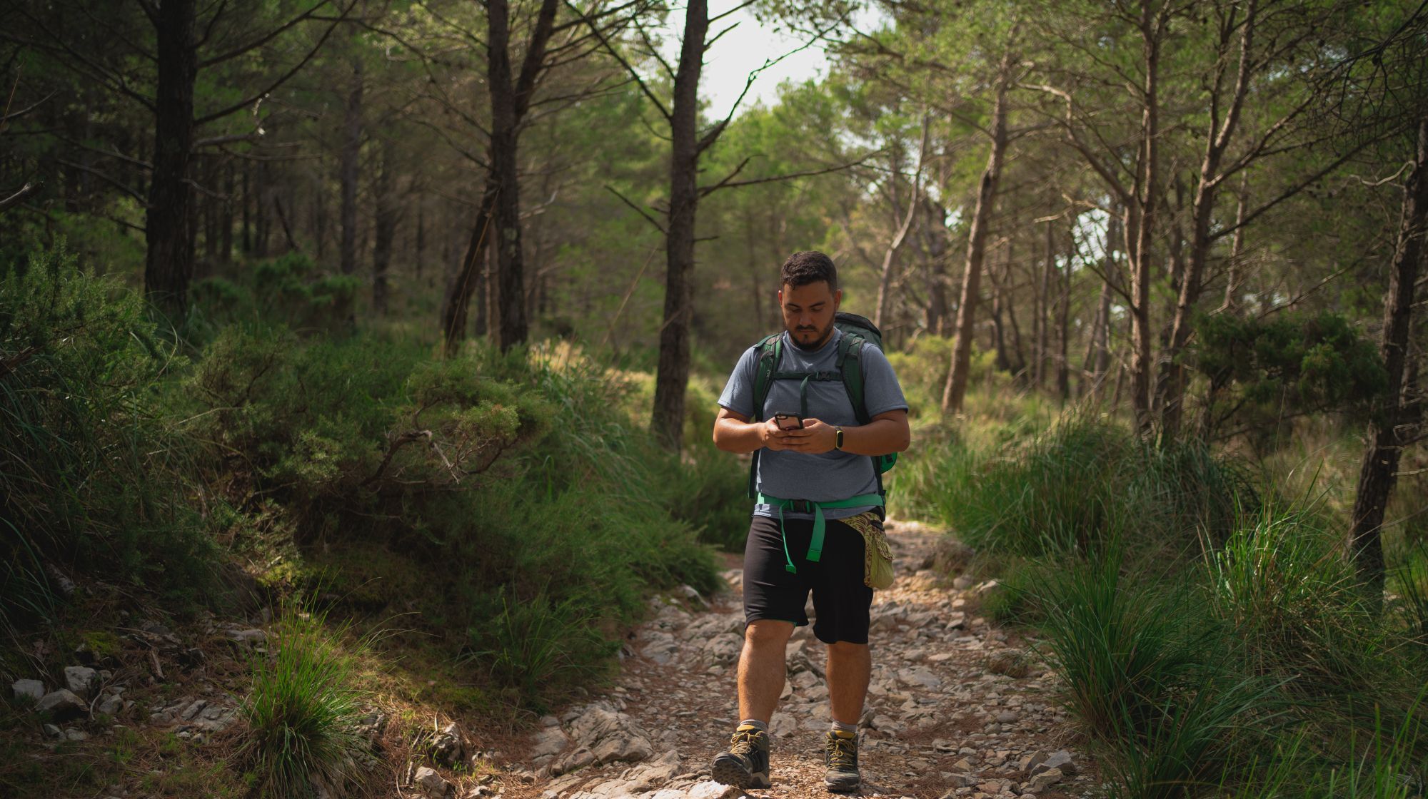 A person with a backpack is walking on a rocky path in a forest and looking at their phone.