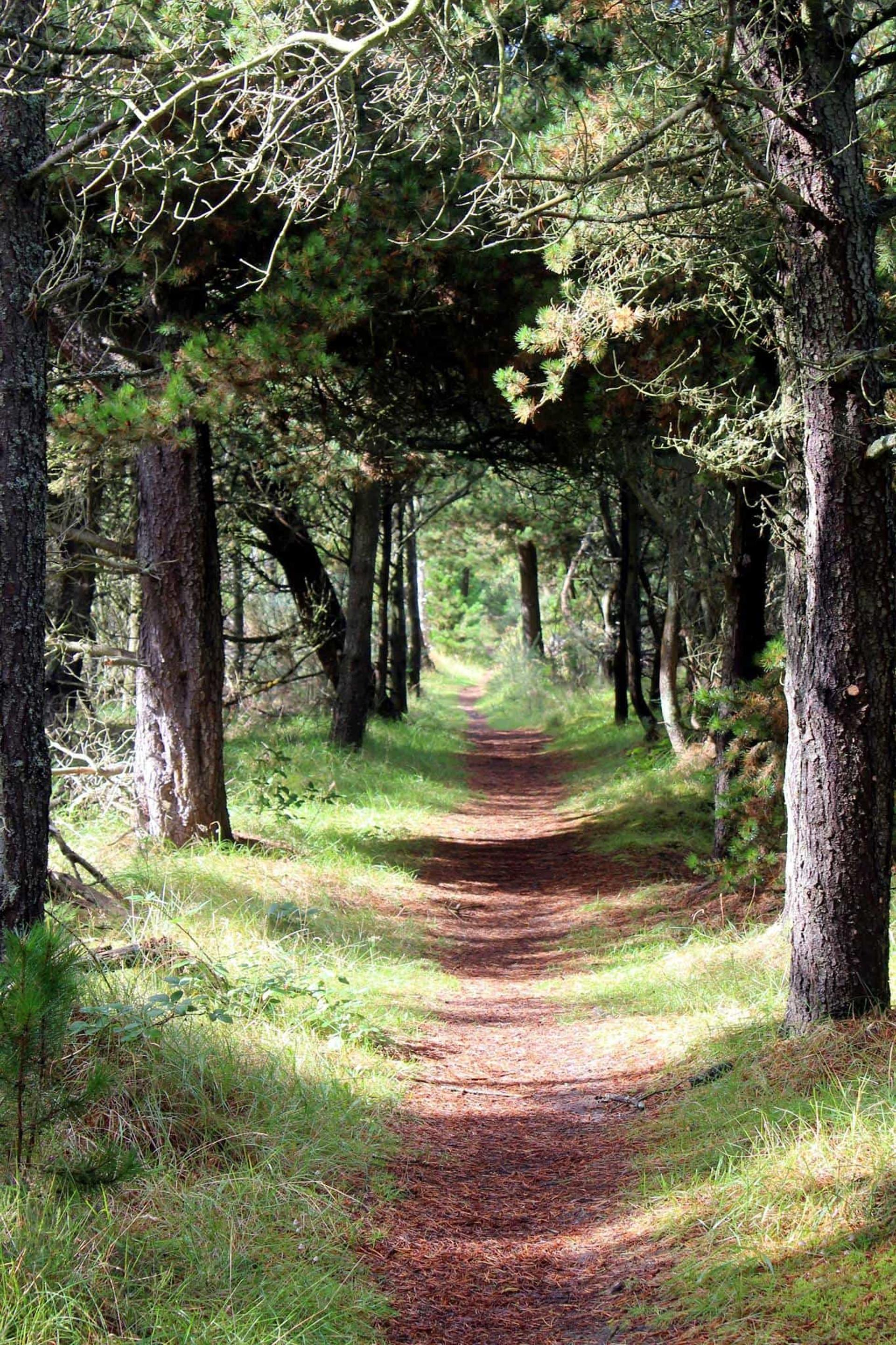 Scotland Whiskey Walks